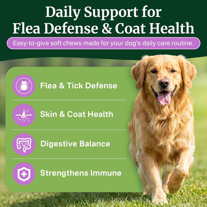 Flea and Tick Prevention for Dogs Chewables, Dog Flea and Tick Treatment