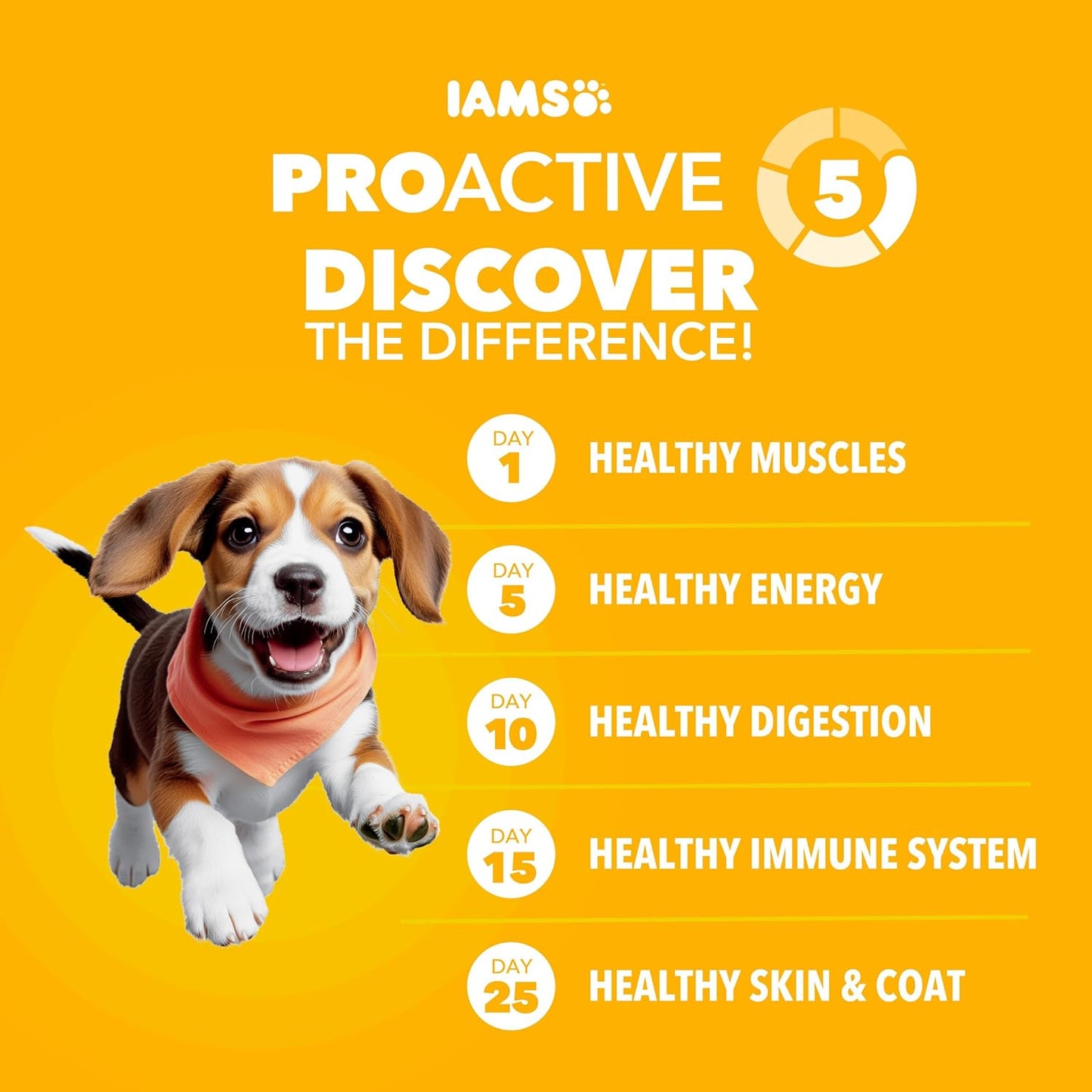 IAMS Proactive Health Large Breed Puppy Food with Real Chicken