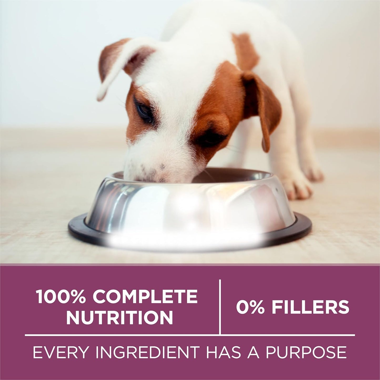 Purina ONE plus Healthy Puppy Formula High Protein Natural Dry Puppy Food with Added Vitamins, Minerals and Nutrients - 16.5 Lb. Bag