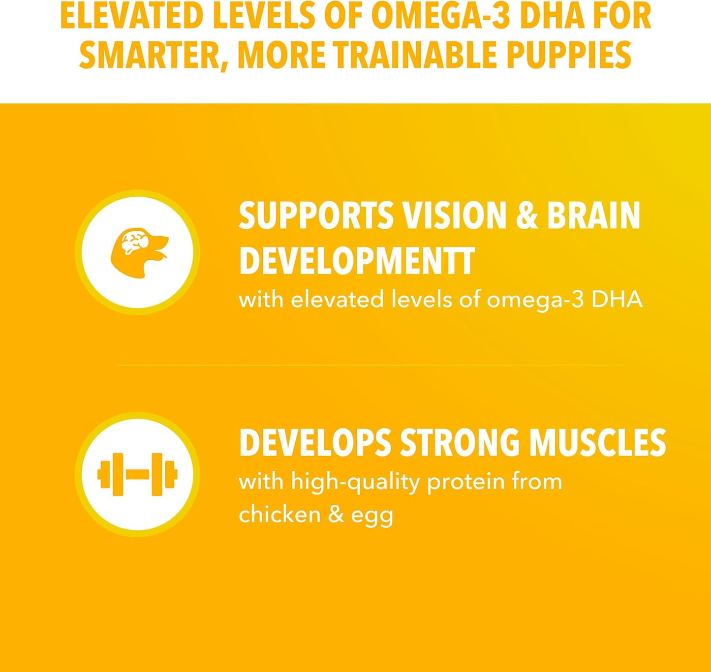 IAMS Proactive Health Large Breed Puppy Food with Real Chicken