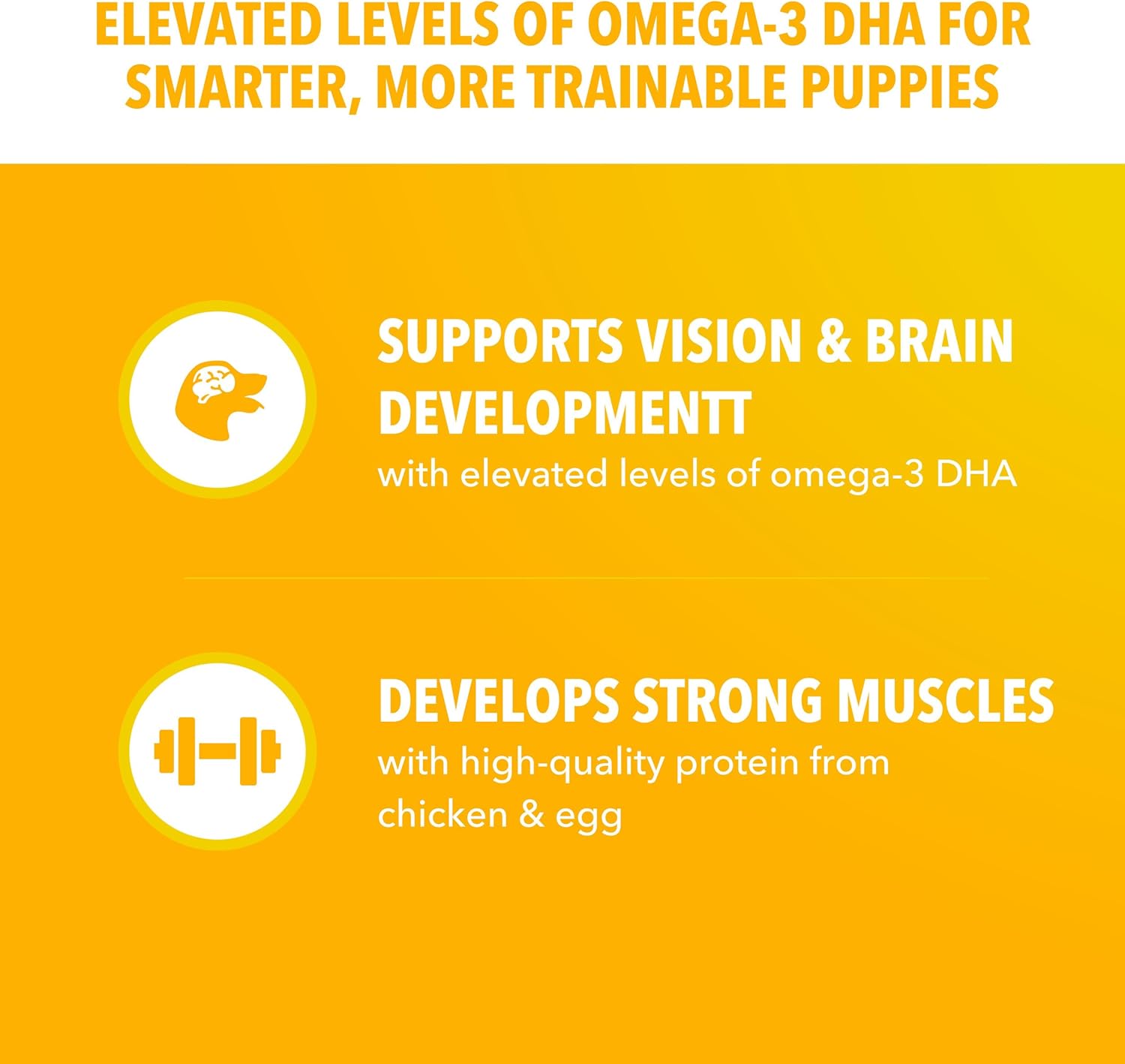 IAMS Proactive Health Large Breed Puppy Food with Real Chicken