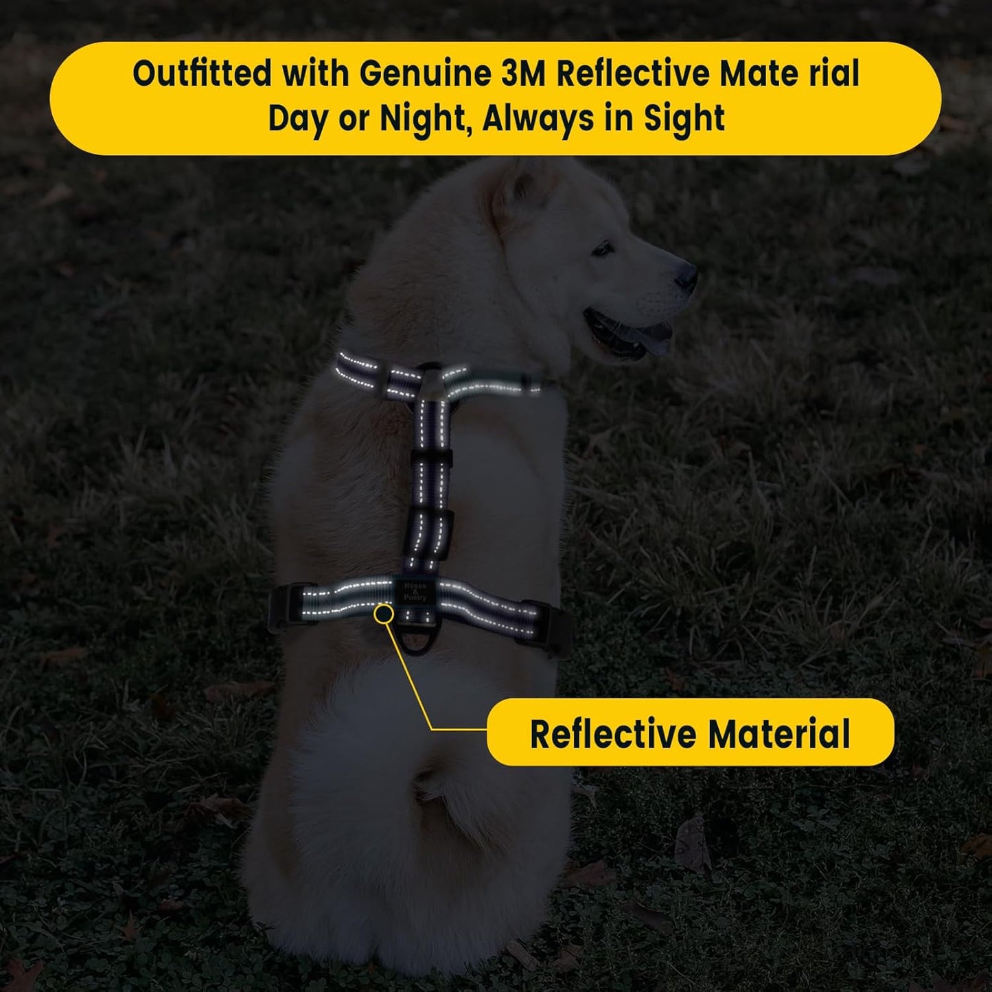 Dog Harness and Leash Set for Mediumn Dogs, No Pull Dog Harness Adjustable Reflective, Dog Halter Harnesses Comfort Padded Handle, Pet Harness for Training Outdoor Walking（Gsky-M