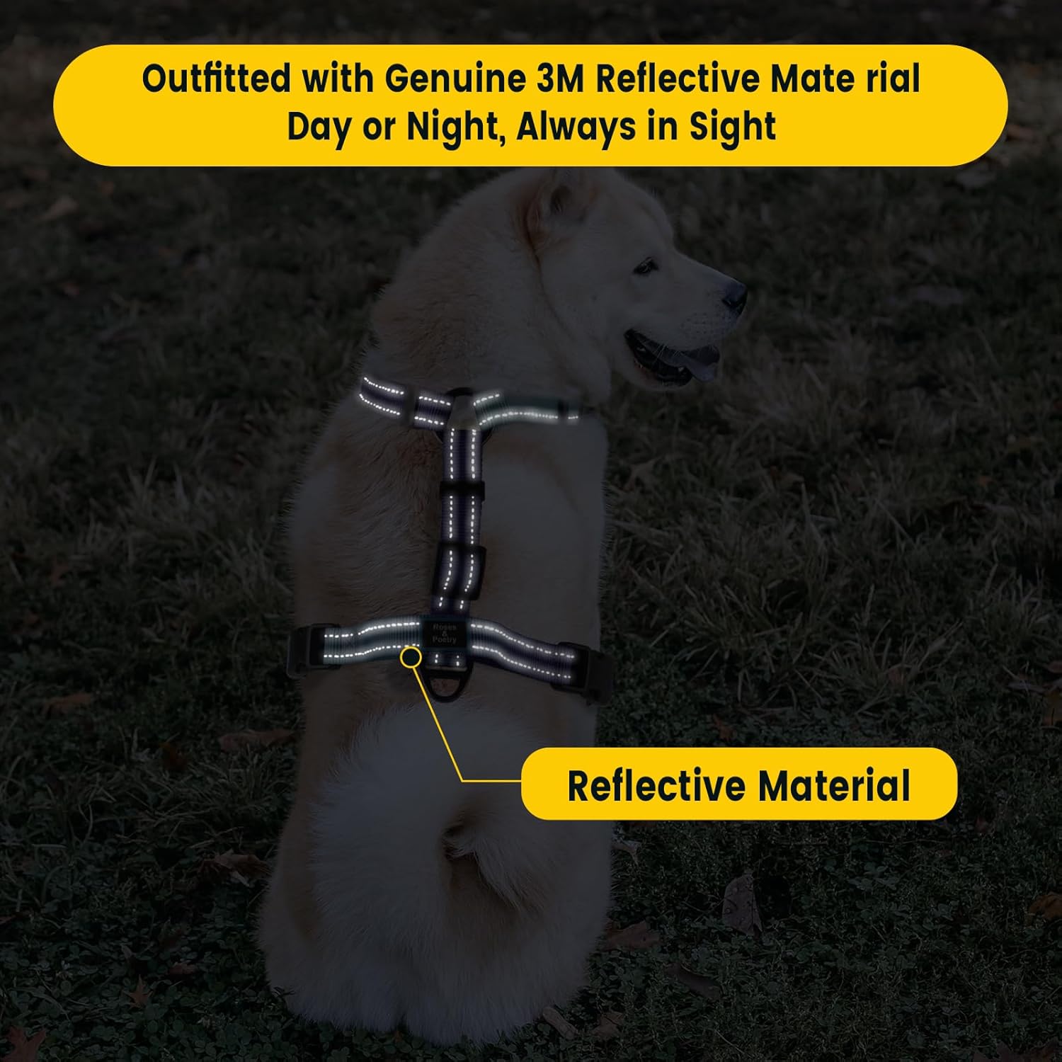 Dog Harness and Leash Set for Mediumn Dogs, No Pull Dog Harness Adjustable Reflective, Dog Halter Harnesses Comfort Padded Handle, Pet Harness for Training Outdoor Walking（Gsky-M
