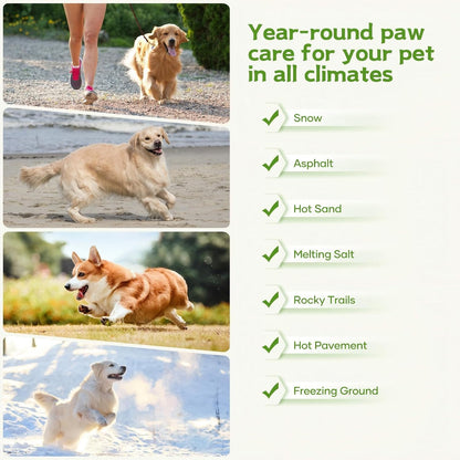 Dog Paw Balm & Nose Balm, Lick-Safe | All-Natural Moisturizer with Organic Coconut Oil | Quickly Nourishes and Repairs Dry, Cracked Paws (2.0Oz)