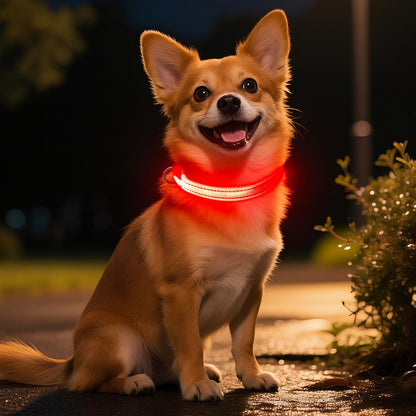 Light up Dog Collar for Small Dogs, LED Dog Collar Rechargeable Safety Dog Lights, Fully Adjustable Glow in the Dark Collars(X-Small)