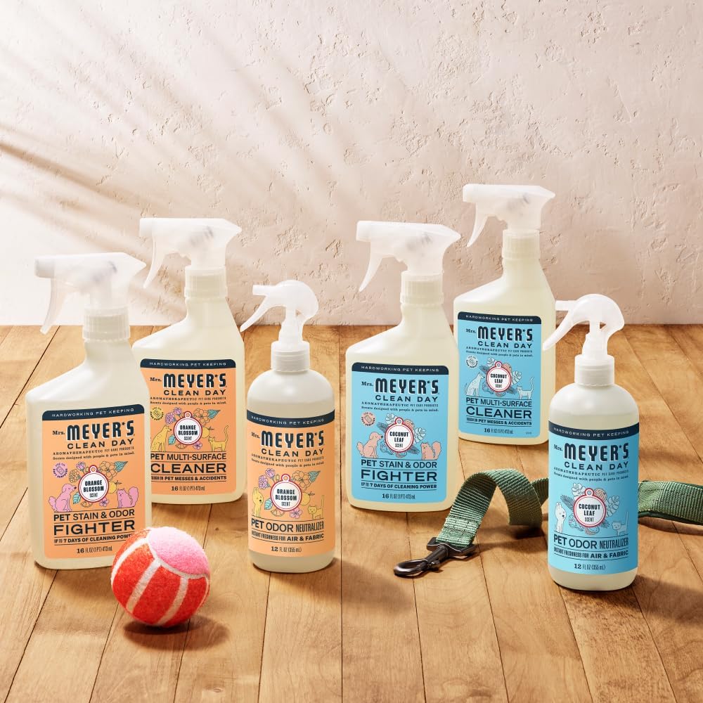 CLEAN DAY Pet Stain & Odor Fighter, Orange Blossom Scent, 16Oz