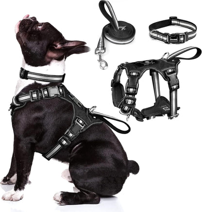 Pet Harness Collar and Leash Set, All-In-One Reflective Dog Harness No Pull with Adjustable Buckles, Small, Medium, Large, and Extra-Large Dogs (Black)