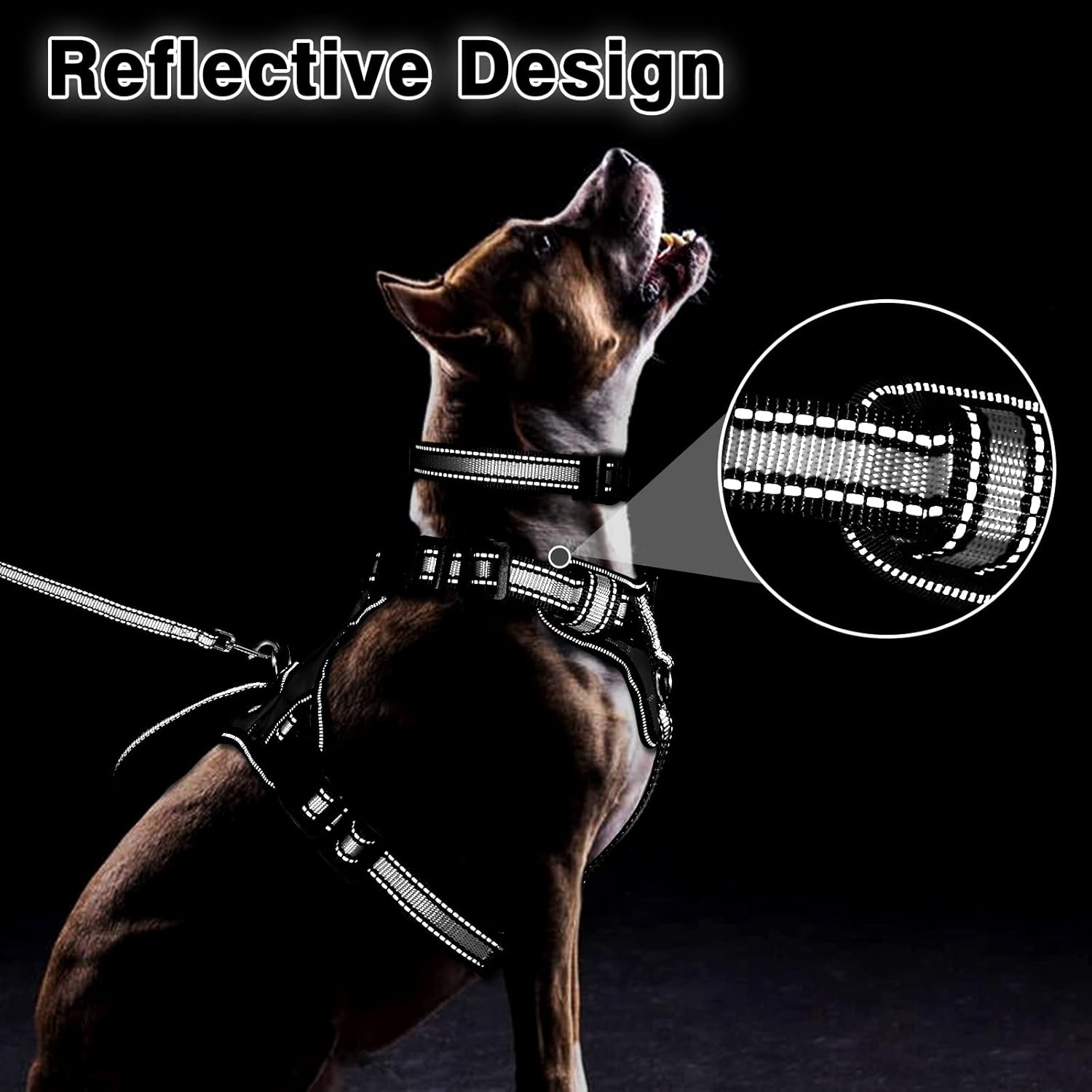 Pet Harness Collar and Leash Set, All-In-One Reflective Dog Harness No Pull with Adjustable Buckles, Small, Medium, Large, and Extra-Large Dogs (Black)