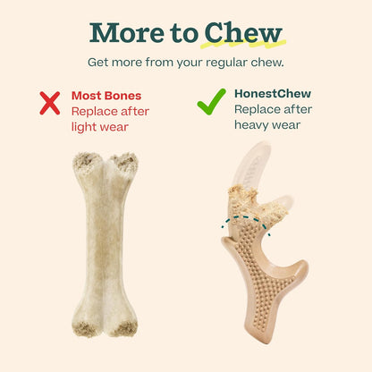 Honestchew Dog Toy Antler - Durable Dog Chews - Made with Natural, Plant-Based Ingredients - Splinter-Resistant - Safer than Dog Bones - Small