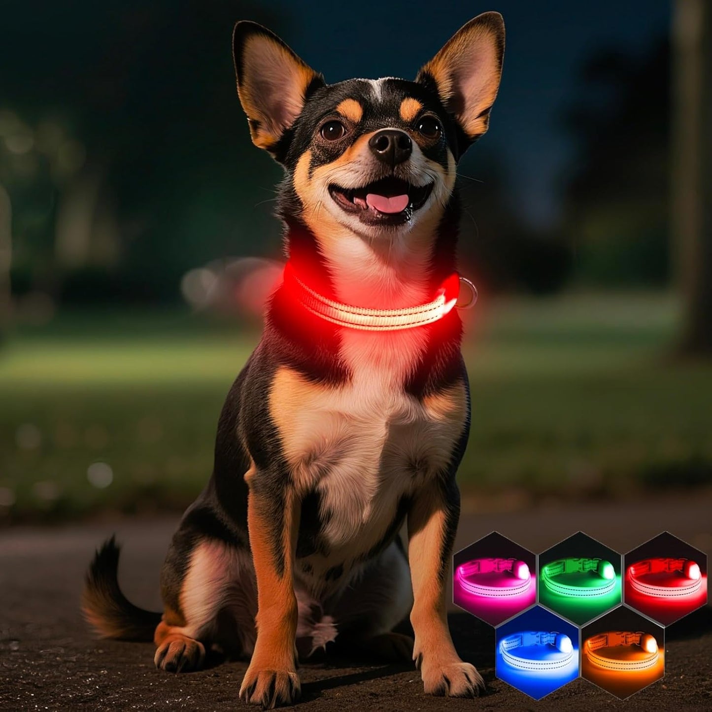 Light up Dog Collar for Small Dogs, LED Dog Collar Rechargeable Safety Dog Lights, Fully Adjustable Glow in the Dark Collars(X-Small)
