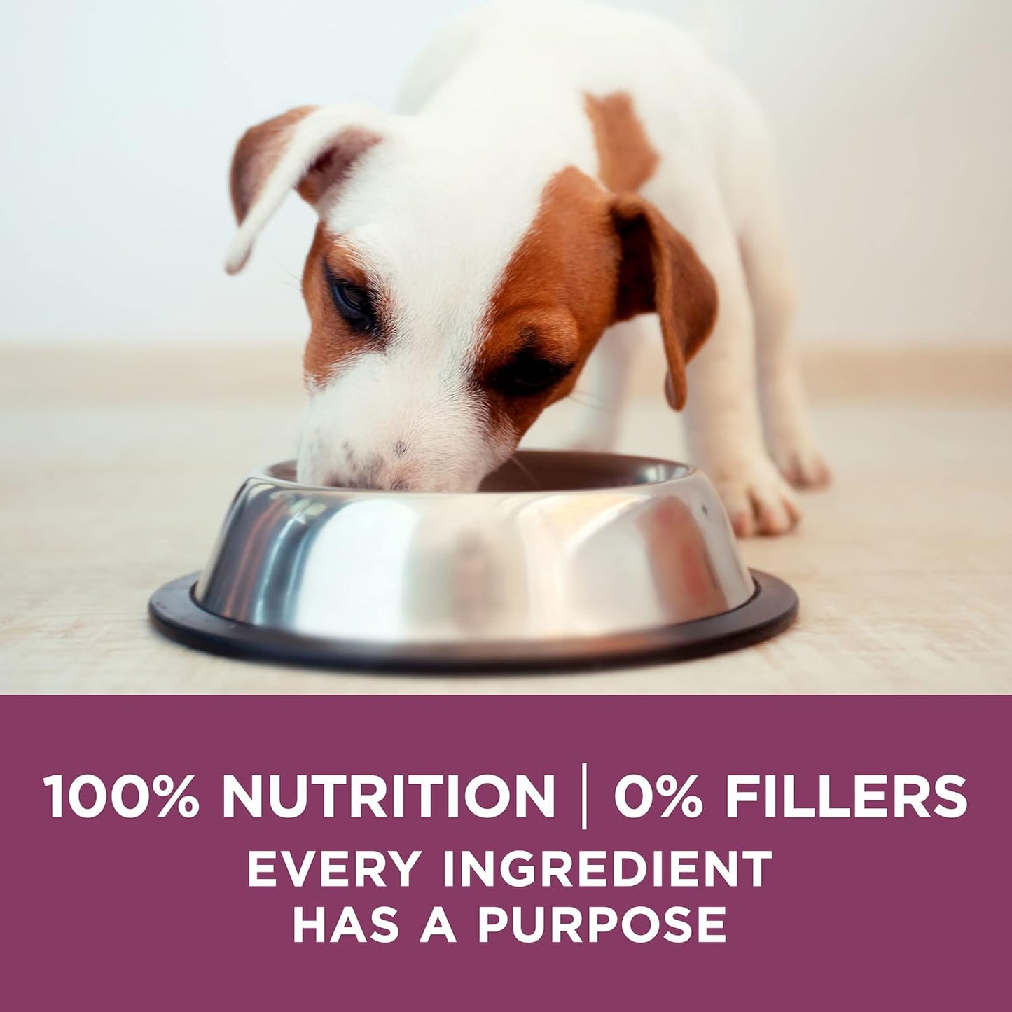 Purina ONE plus Healthy Puppy Formula High Protein Natural Dry Puppy Food with Added Vitamins, Minerals and Nutrients - 16.5 Lb. Bag