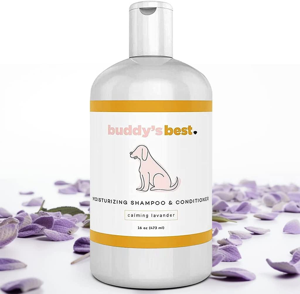 Skin-Friendly, Oatmeal Dog Shampoo and Conditioner for Dry and Sensitive Skin - Moisturizing Puppy Wash Shampoo, Calming Lavender Scent, 16Oz