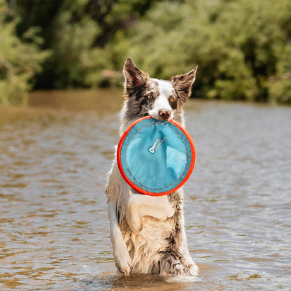 Chuckit! Paraflight Flying Disc Dog Toy - Water Floating Flyer - Durable Nylon Construction with Soft Rubber Edges 