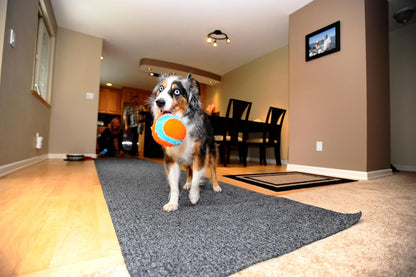 Indoor Fetch Ball Dog Toy for Dogs - Interactive Dog Toys for Boredom, 4.75 Inch, Orange and Blue