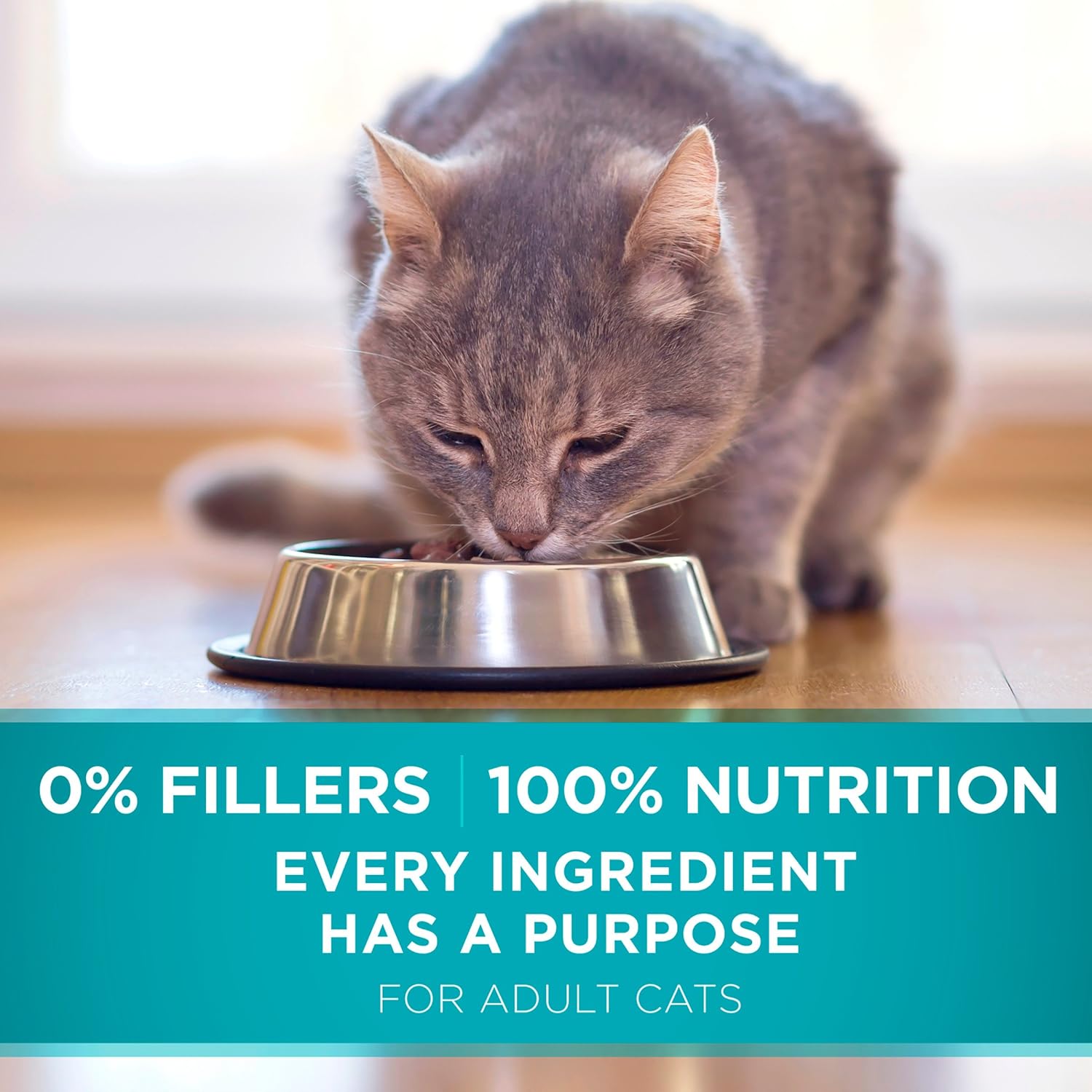 Natural Dry Cat Food, Tender Selects Blend with Real Salmon - 16 Lb. Bag