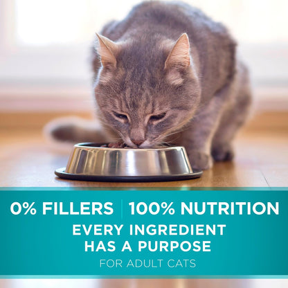 Natural Dry Cat Food, Tender Selects Blend with Real Salmon - 16 Lb. Bag