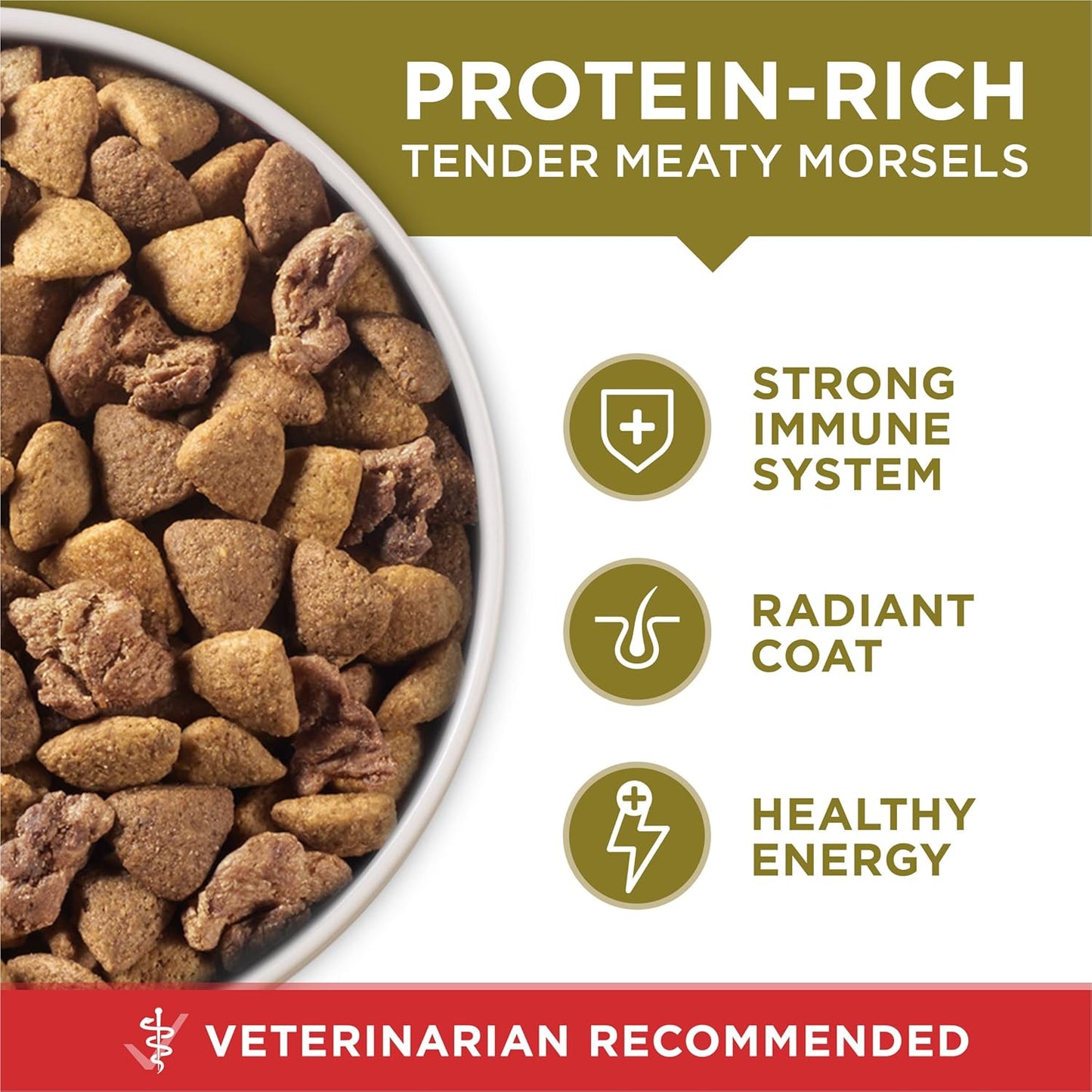 Purina ONE Dry Dog Food Lamb and Rice Formula 
