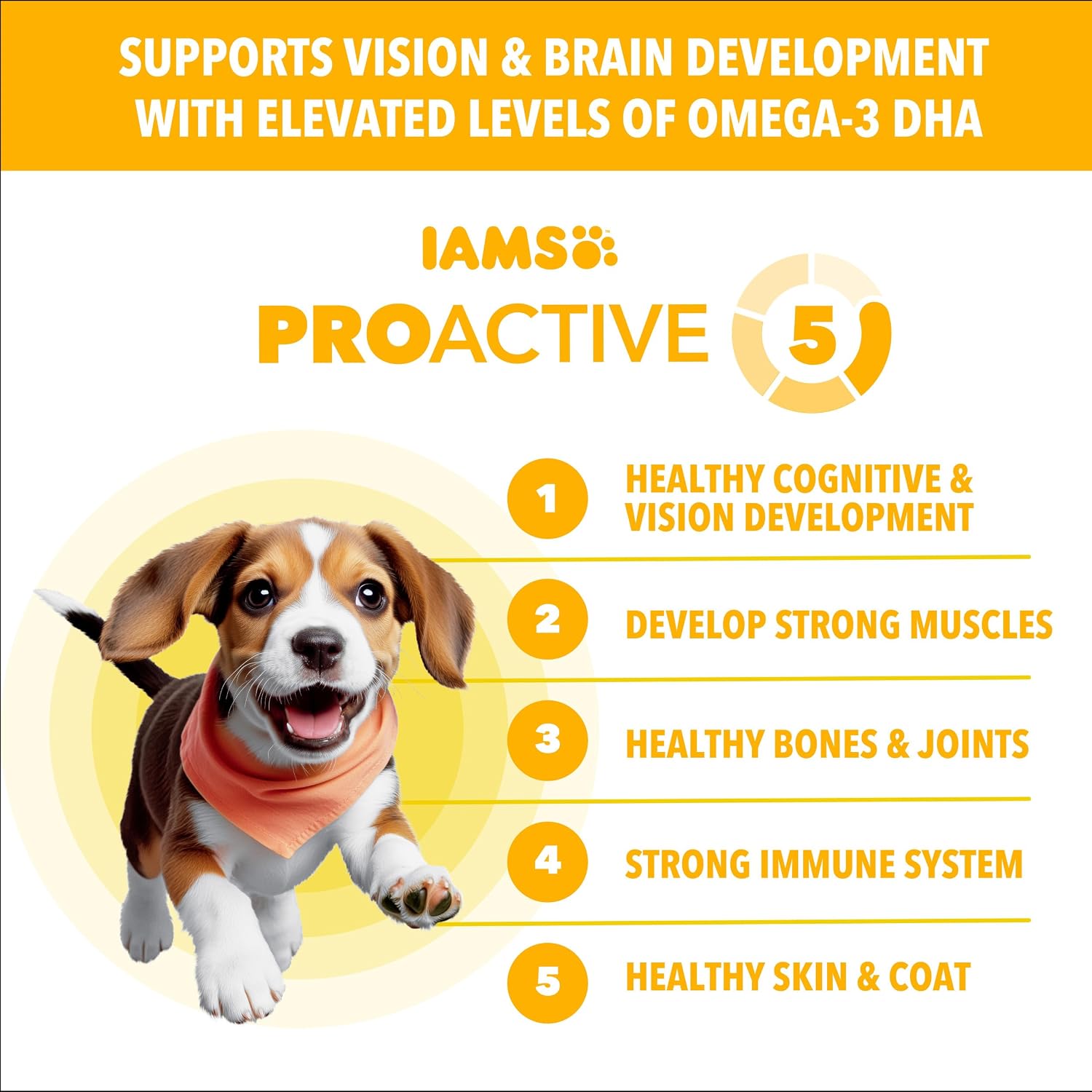 IAMS Proactive Health Healthy Puppy Dry Dog Food, Chicken & Rice