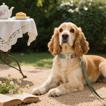 Soft PU Leather Dog Collars for Medium Dogs,Classic Adjustable Dog Collars with Quick Release Metal Buckle,Easy Clean and Comfortable with Nylon Lining,Green,M Neck 13-19"