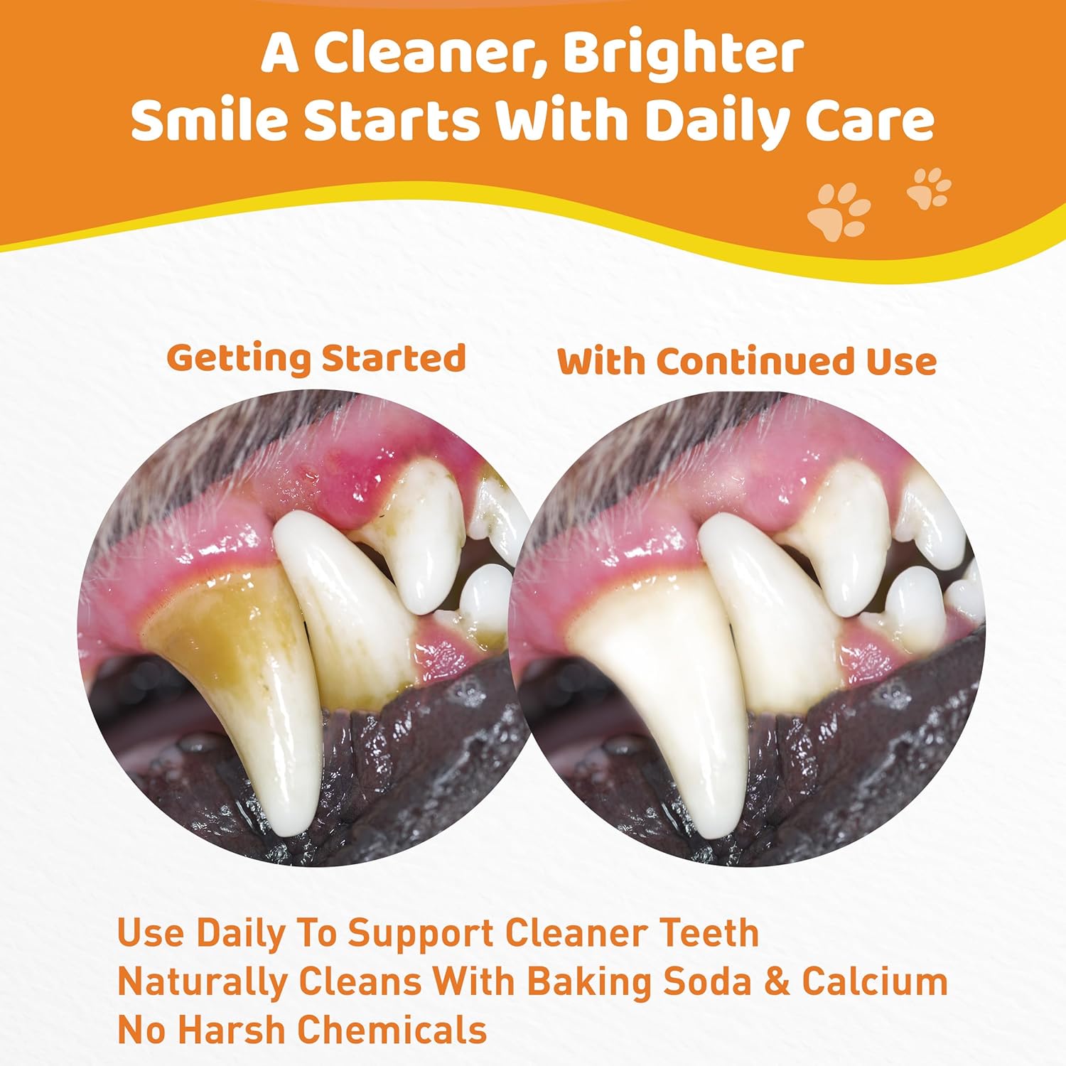 Dog Teeth Cleaning Powder - Natural Dog Dental Powder -Gentle Dog Breath Freshener, Dog Plaque and Tartar Remover, Vet Formulated - 60 Scoops