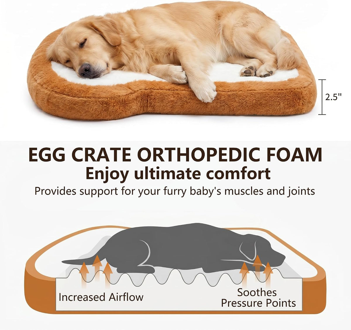 Toast Shaped Dog Bed Mats with Orthopedic Foam, Machine Washable Non-Slip Pet Bed
