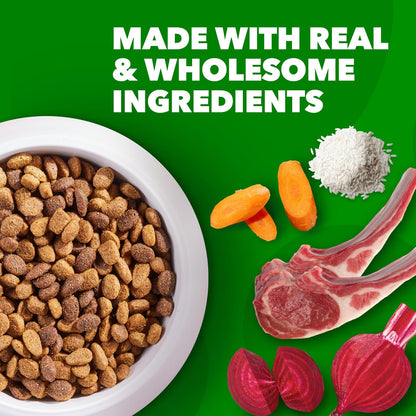 Proactive Health Minichunks Adult Dry Dog Food with Lamb & Rice, 15 Lb. Bag