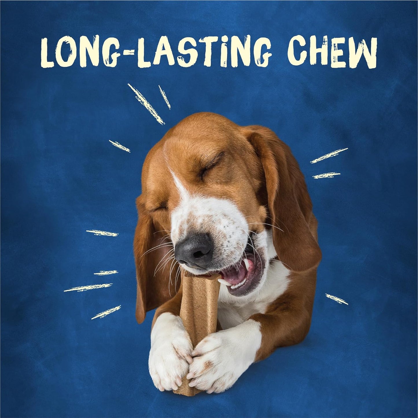Purina Busy Bone Adult Dog Chew Bone Treats, Original 