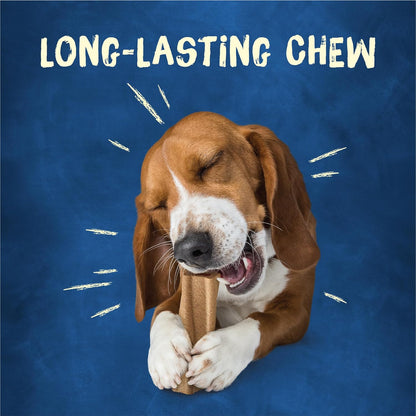 Purina Busy Bone Adult Dog Chew Bone Treats, Original 