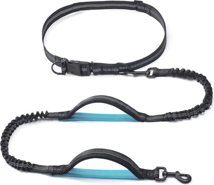 Retractable Hands Free Dog Leash - Dual Handle Bungee Waist Leash for Small, Medium and Large Dogs (Medium/Large, 25-150 Lbs, Orange)