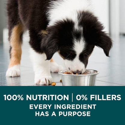 Purina ONE plus Large Breed Puppy Food Dry Formula 