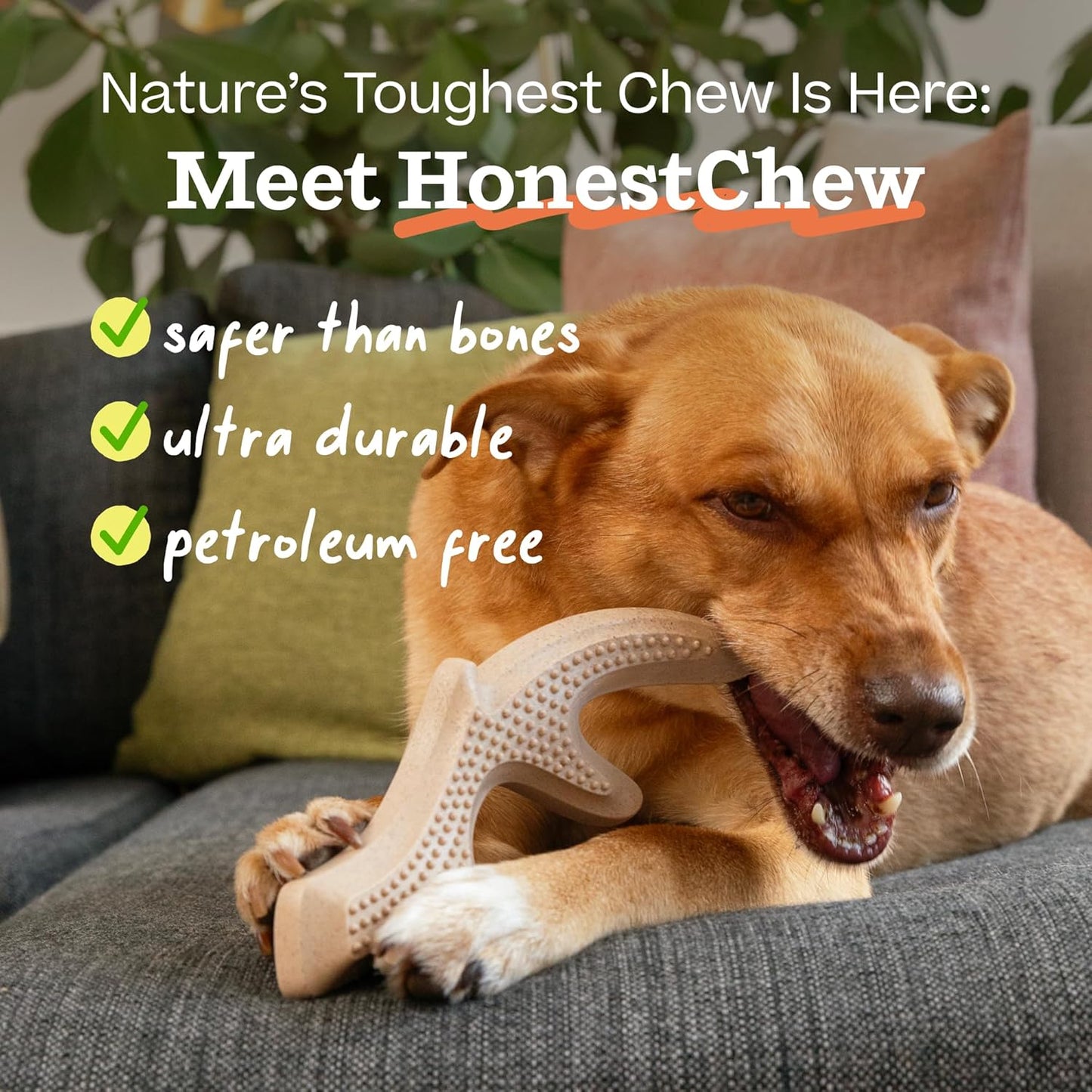 Honestchew Dog Toy Antler - Durable Dog Chews - Made with Natural, Plant-Based Ingredients - Splinter-Resistant - Safer than Dog Bones - Small