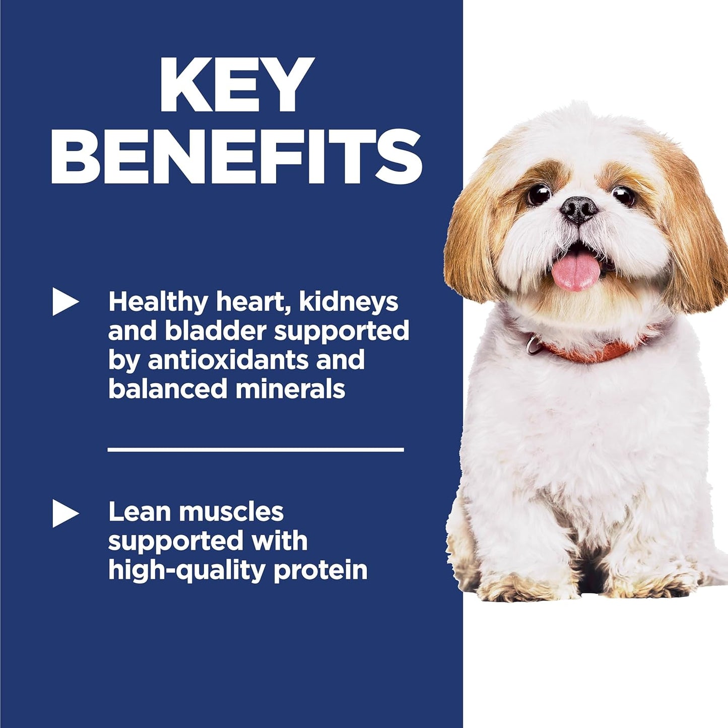 Adult 7+, Senior Adult 7+ Premium Nutrition, Small Kibble, Dry Dog Food, Chicken, Brown Rice, & Barley, 15 Lb Bag