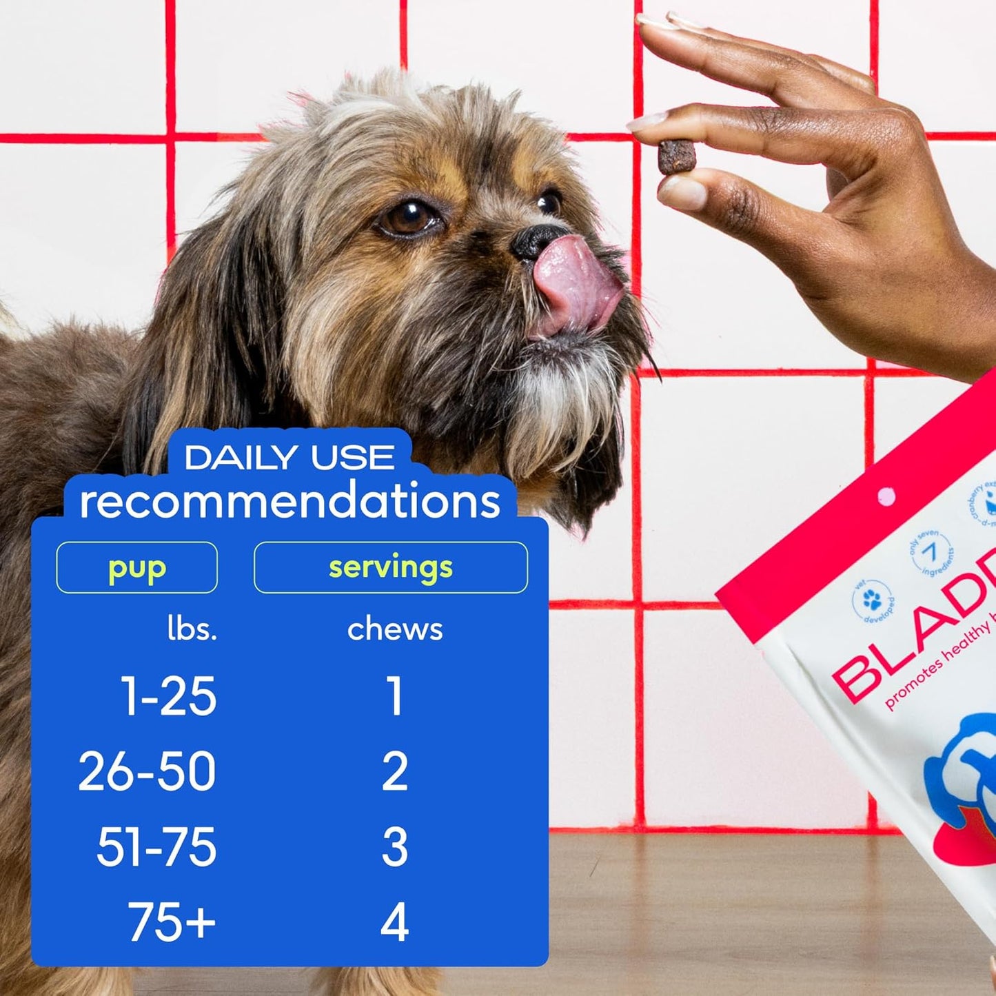 Dog UTI Treatment - Cranberry Supplement for Dogs Bladder Control & Kidney Support - Prevent Urinary Tract Infection and Urinary Incontinence - Made with Real Cranberry Extract - 30 Chews