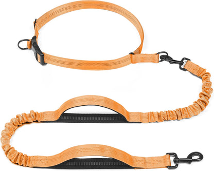 Retractable Hands Free Dog Leash - Dual Handle Bungee Waist Leash for Small, Medium and Large Dogs (Medium/Large, 25-150 Lbs, Orange)