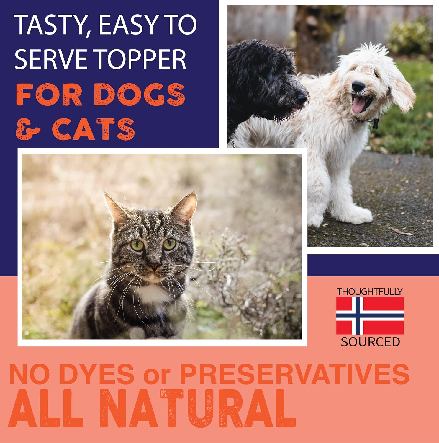 Nature'S Diet Pet 32 Oz Norwegian Salmon Oil Dogs & Cats - Natural Support for Joint Function Immune Heart Health Appetite Skin & Coat Omega 3 6 9 Liquid Food Topper EPA DHA Fatty Acids
