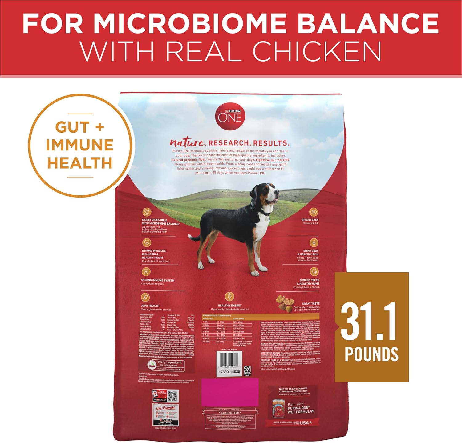 Purina ONE Chicken and Rice Formula Dry Dog Food - 31.1 Lb. Bag