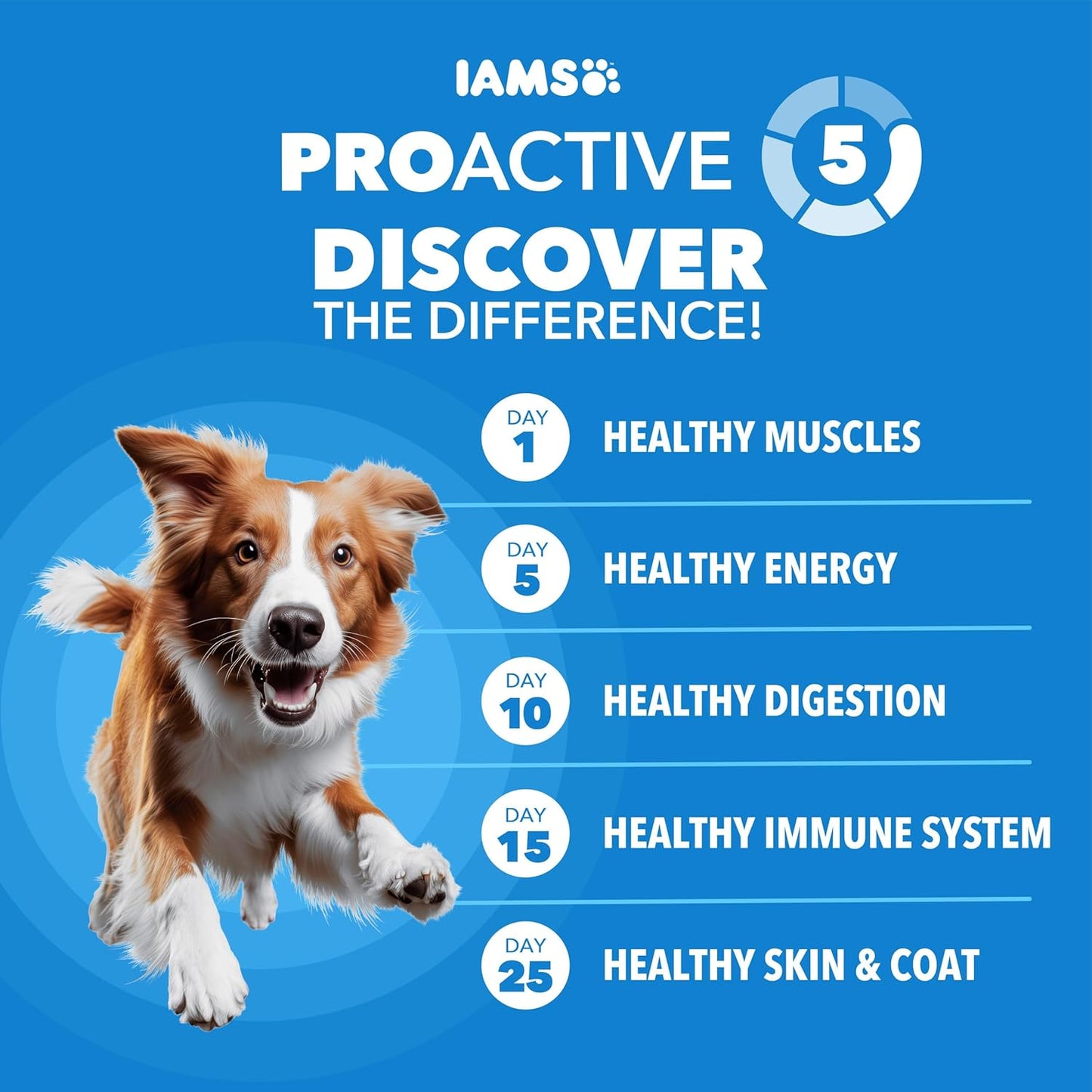 IAMS Proactive Health Healthy Weight Control Adult Dry Dog Food with Real Chicken