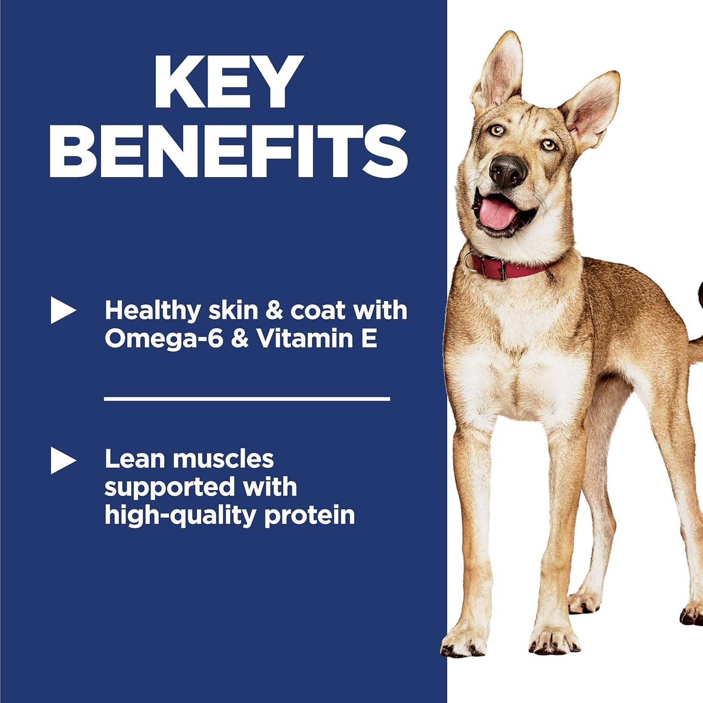 Adult 1-6, Adult 1-6 Premium Nutrition, Dry Dog Food, Chicken & Barley, 15 Lb Bag