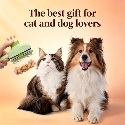 2 PCS Flea Comb for Cats Dogs Brush for Shedding Pet Hair Removal Comb with Long & Short Stainless Steel Teeth for Deshedding