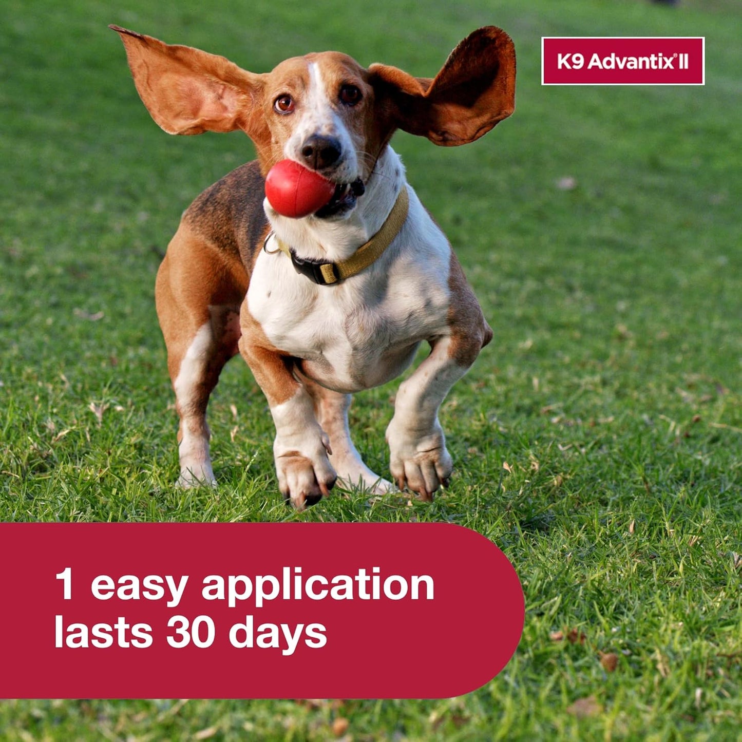 II Medium Dog Vet-Recommended Flea, Tick & Mosquito Treatment & Prevention | Dogs 11-20 Lbs. | 2-Mo Supply