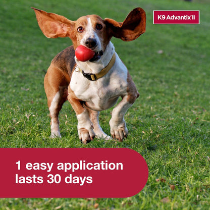 II Medium Dog Vet-Recommended Flea, Tick & Mosquito Treatment & Prevention | Dogs 11-20 Lbs. | 2-Mo Supply