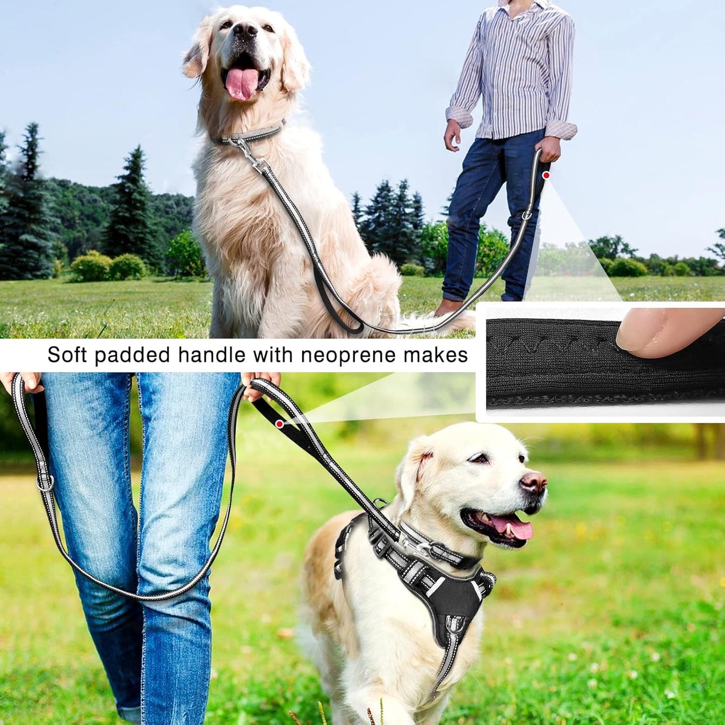 Pet Harness Collar and Leash Set, All-In-One Reflective Dog Harness No Pull with Adjustable Buckles, Small, Medium, Large, and Extra-Large Dogs (Black)
