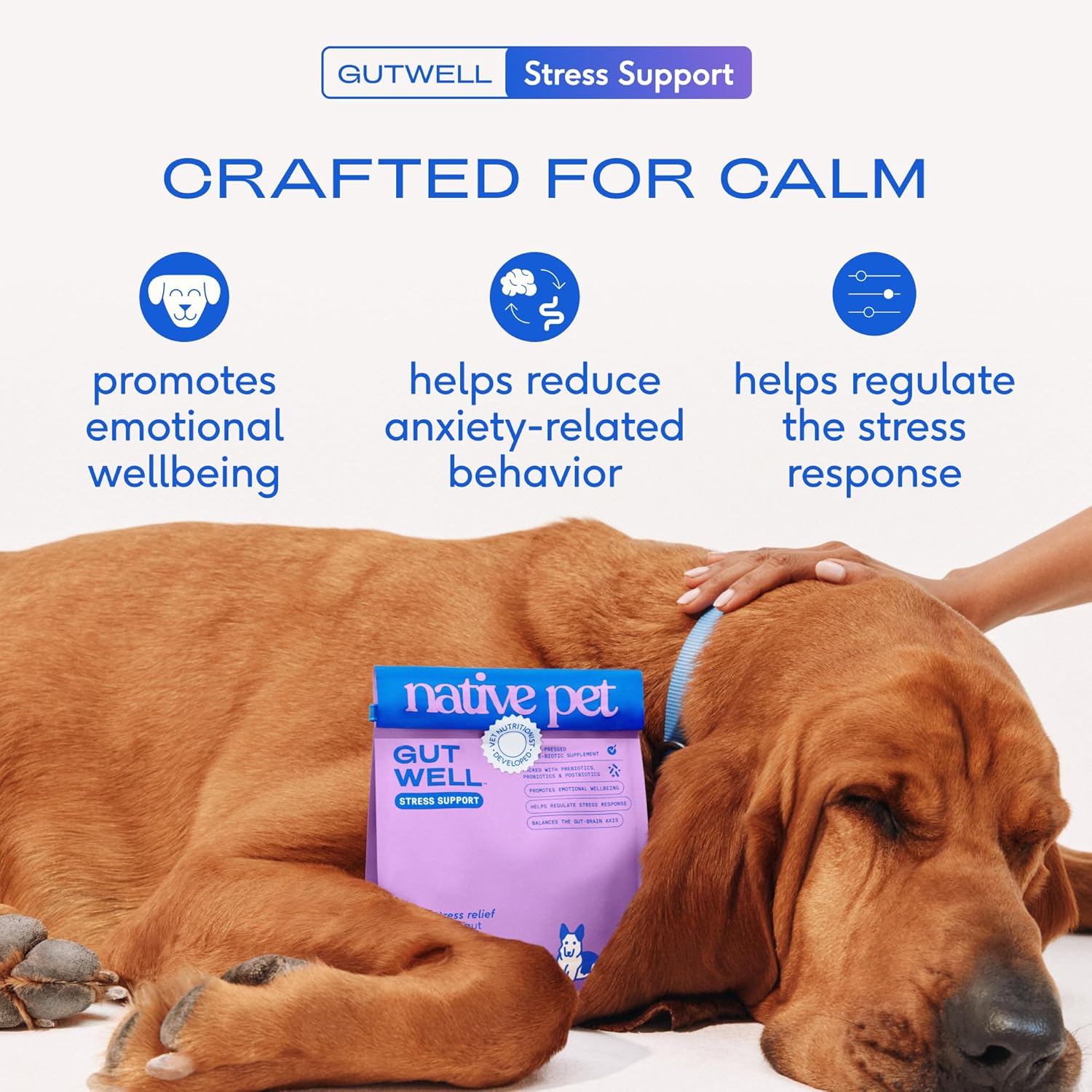Native Pet Gutwell Stress Support - Dog Anxiety Relief & Calming Treats - Tasty Food Topper for Dog Stress and Anxiety Relief - Support Gut-Brain Axis with Triple-Biotic Blend & Magnesium - 60 Scoops