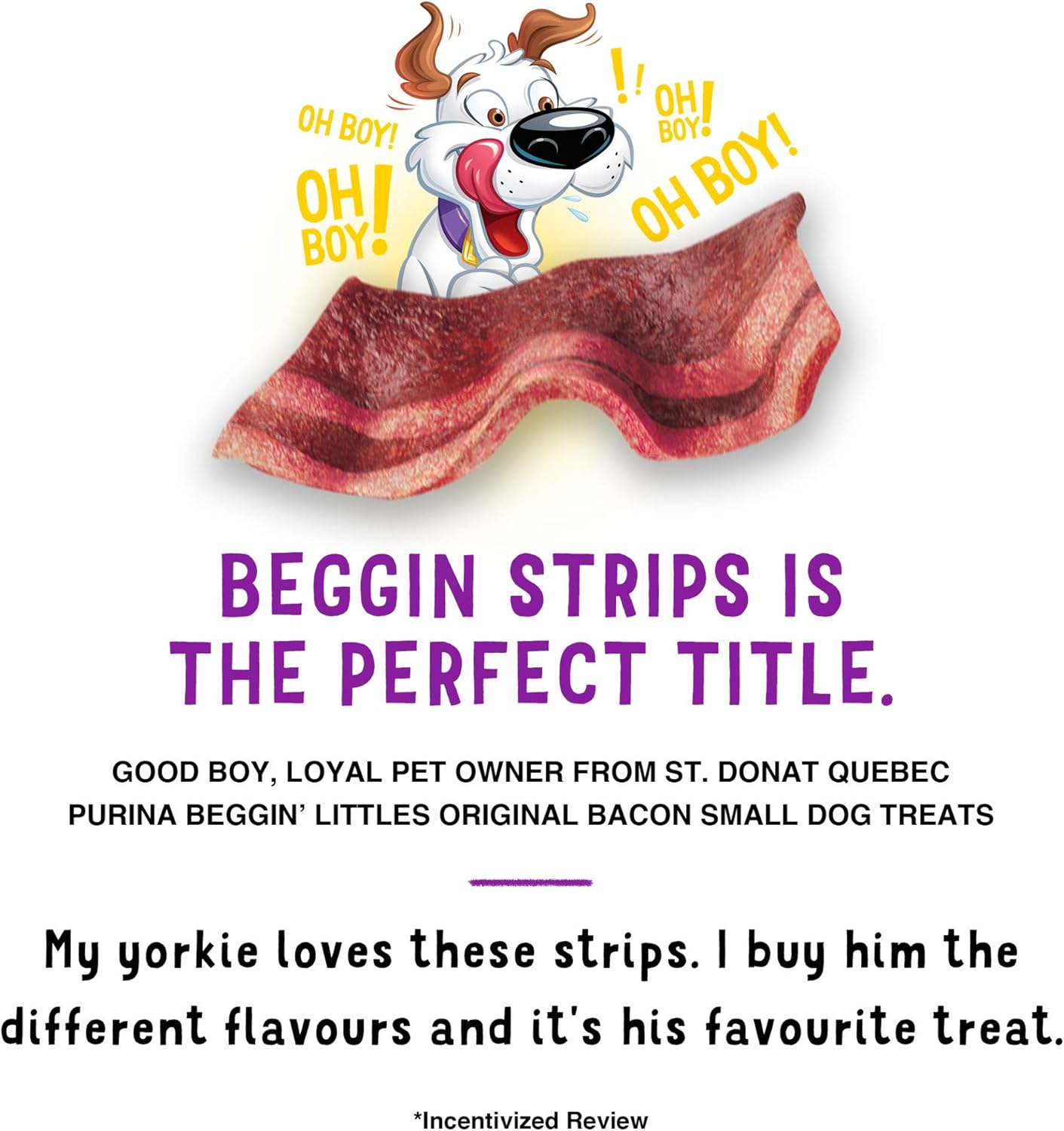 Purina Beggin' Strips With Real Bacon, Fun Size Original Bacon Flavor - 25 oz. Pouch