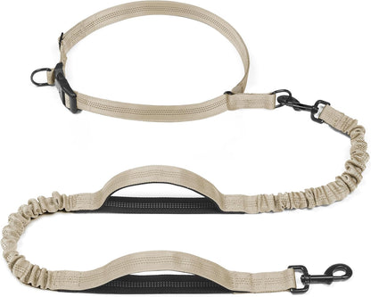 Retractable Hands Free Dog Leash - Dual Handle Bungee Waist Leash for Small, Medium and Large Dogs (Medium/Large, 25-150 Lbs, Orange)