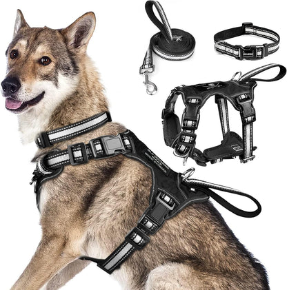 Pet Harness Collar and Leash Set, All-In-One Reflective Dog Harness No Pull with Adjustable Buckles, Small, Medium, Large, and Extra-Large Dogs (Black)
