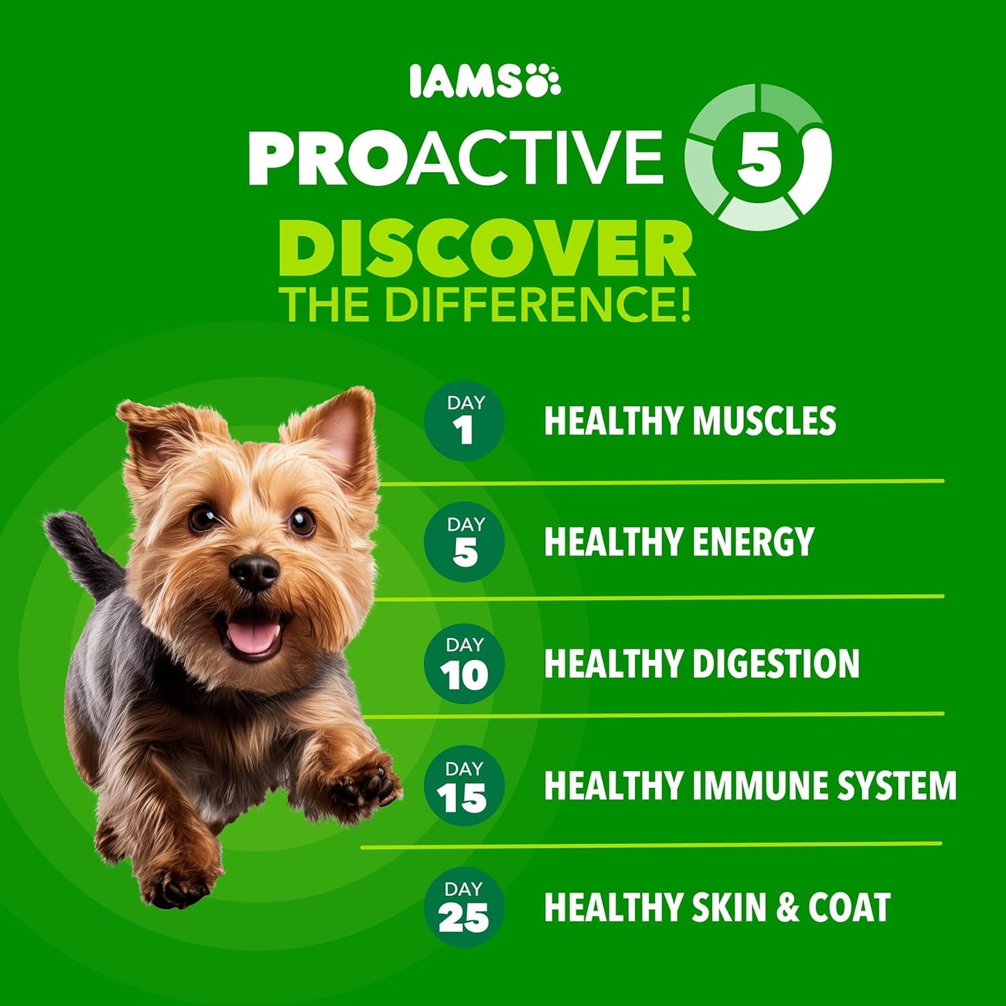 IAMS Proactive Health Small Breed Dog Food Dry with Real Chicken
