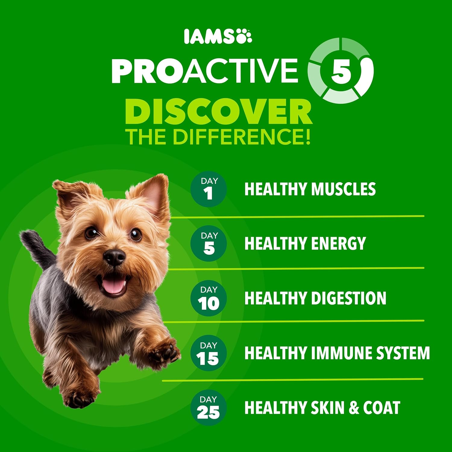 IAMS Proactive Health Small Breed Dog Food Dry with Real Chicken