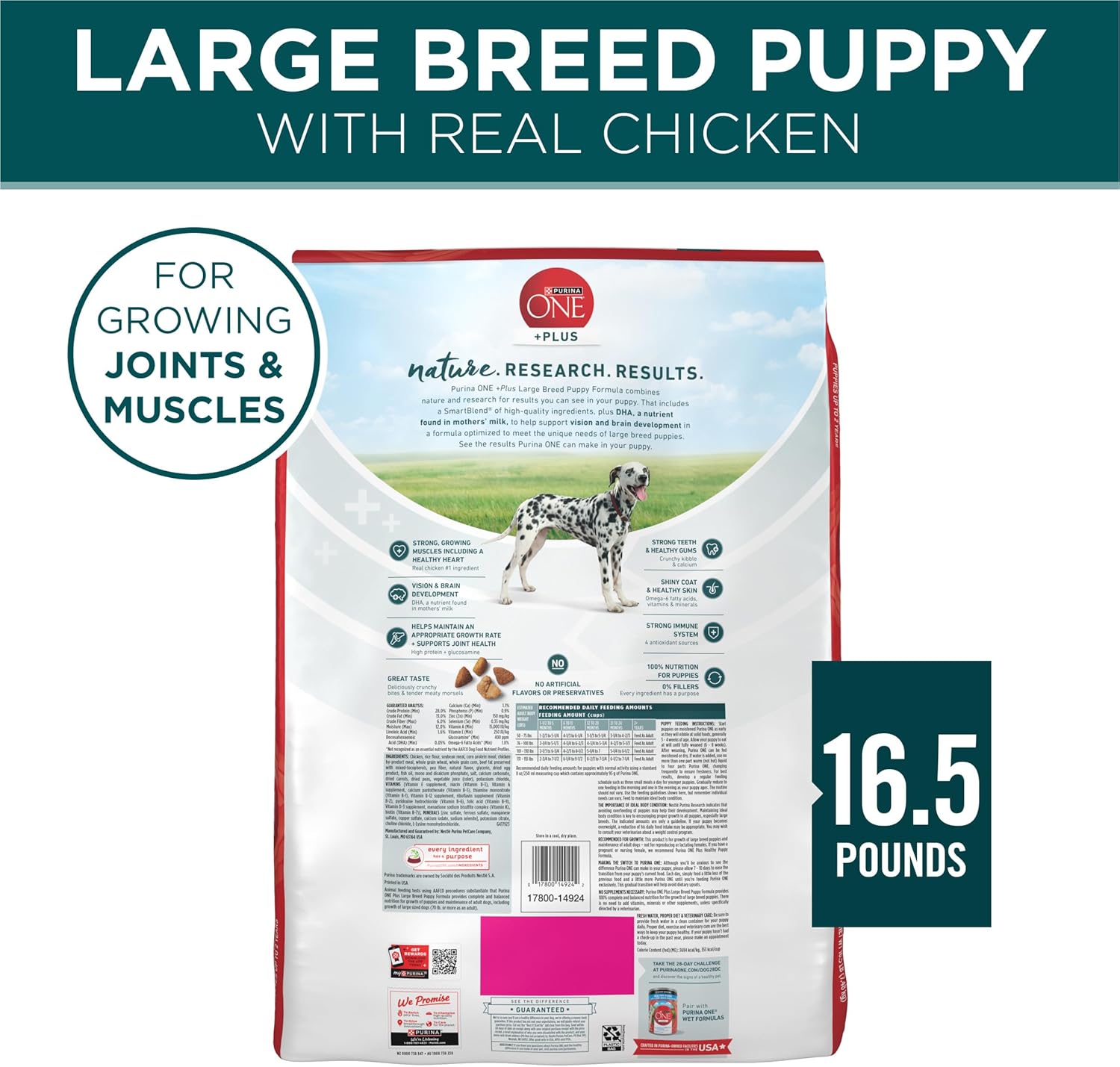 Purina ONE plus Large Breed Puppy Food Dry Formula 