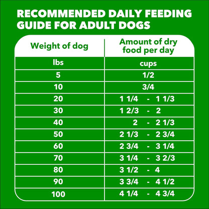 IAMS Proactive Health Adult Minichunks Dry Dog Food Chicken & Whole Grain Recipe